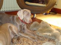DSC00332.JPG